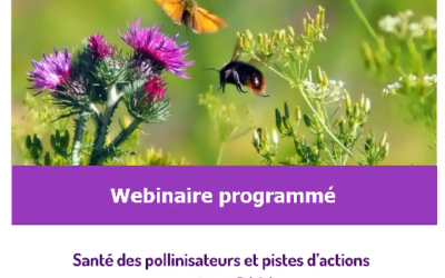 Webinaire « Santé des pollinisateurs : quels enjeux et quelles pistes d’actions en région PACA ? »